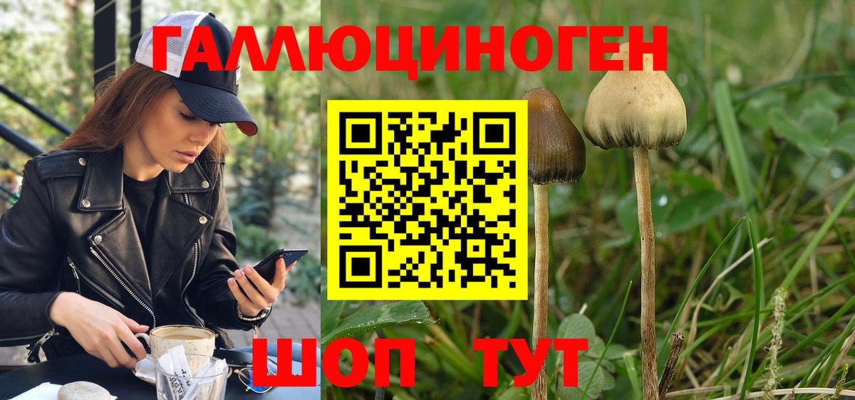 Галлюциногенные грибы MAGIC MUSHROOMS  Вход с VPN  Белорецк  Галлюциногенные грибы Psilocybe 