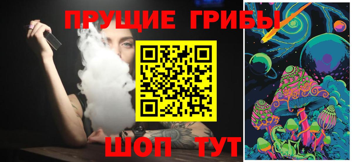 Галлюциногенные грибы Psilocybe Белорецк